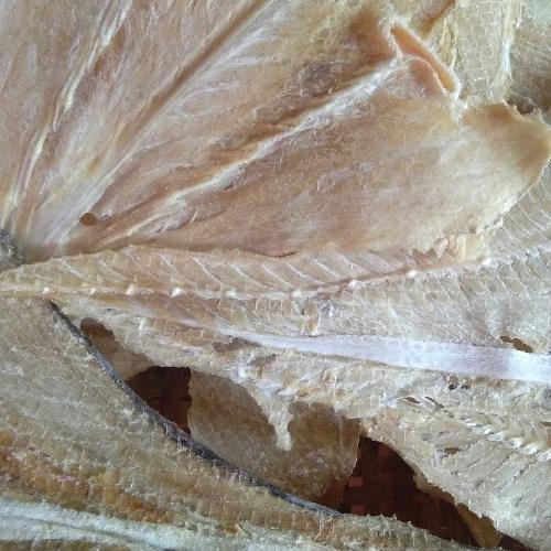 Ikan Pari Kering